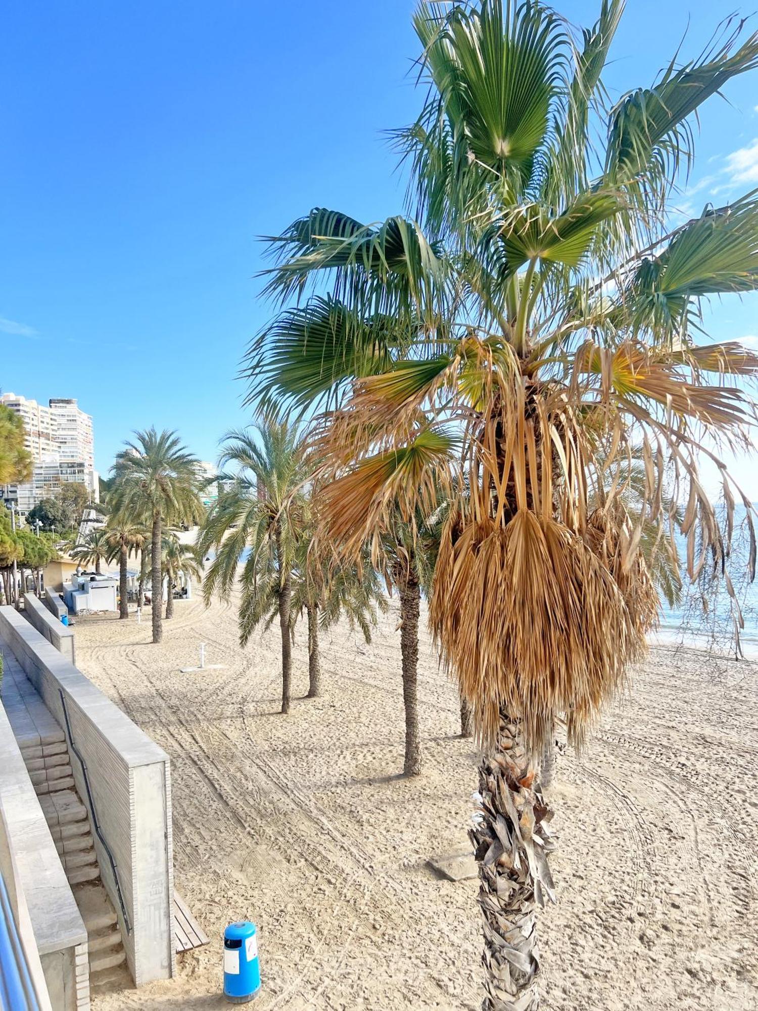 A 100M De La Playa. 2 Hab. A/C Διαμέρισμα Αλικάντε Εξωτερικό φωτογραφία